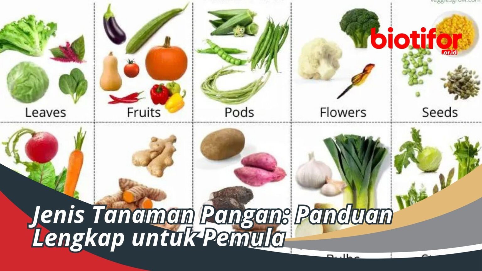 Jenis Tanaman Pangan Panduan Lengkap Untuk Pemula