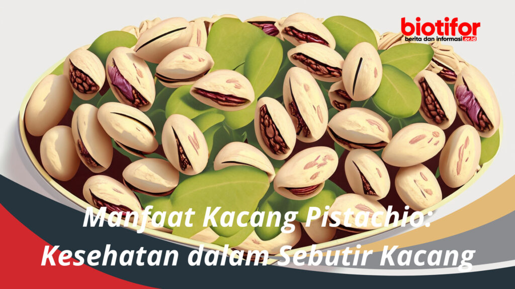 Manfaat Kacang Pistachio Kesehatan Dalam Sebutir Kacang Biotifor