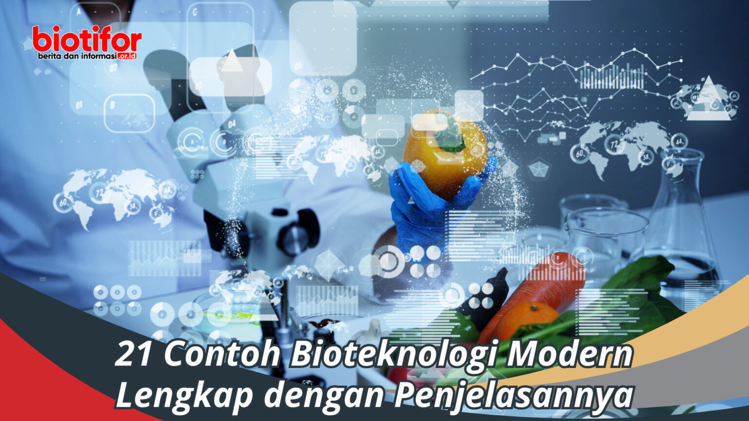 21 Contoh Bioteknologi Modern Lengkap Dengan Penjelasannya Biotifor