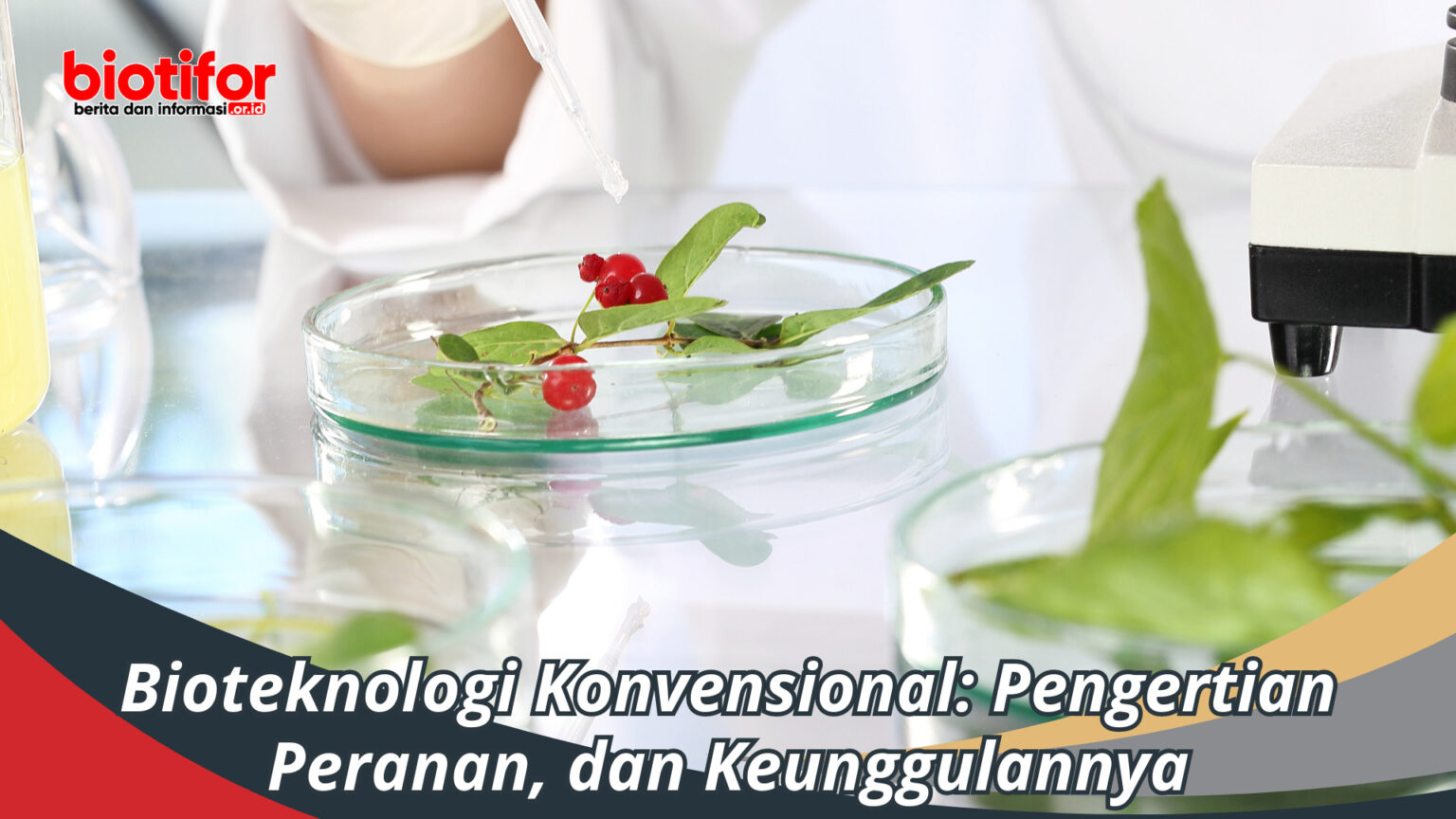 Bioteknologi Konvensional Pengertian Peranan Dan Keunggulan Biotifor