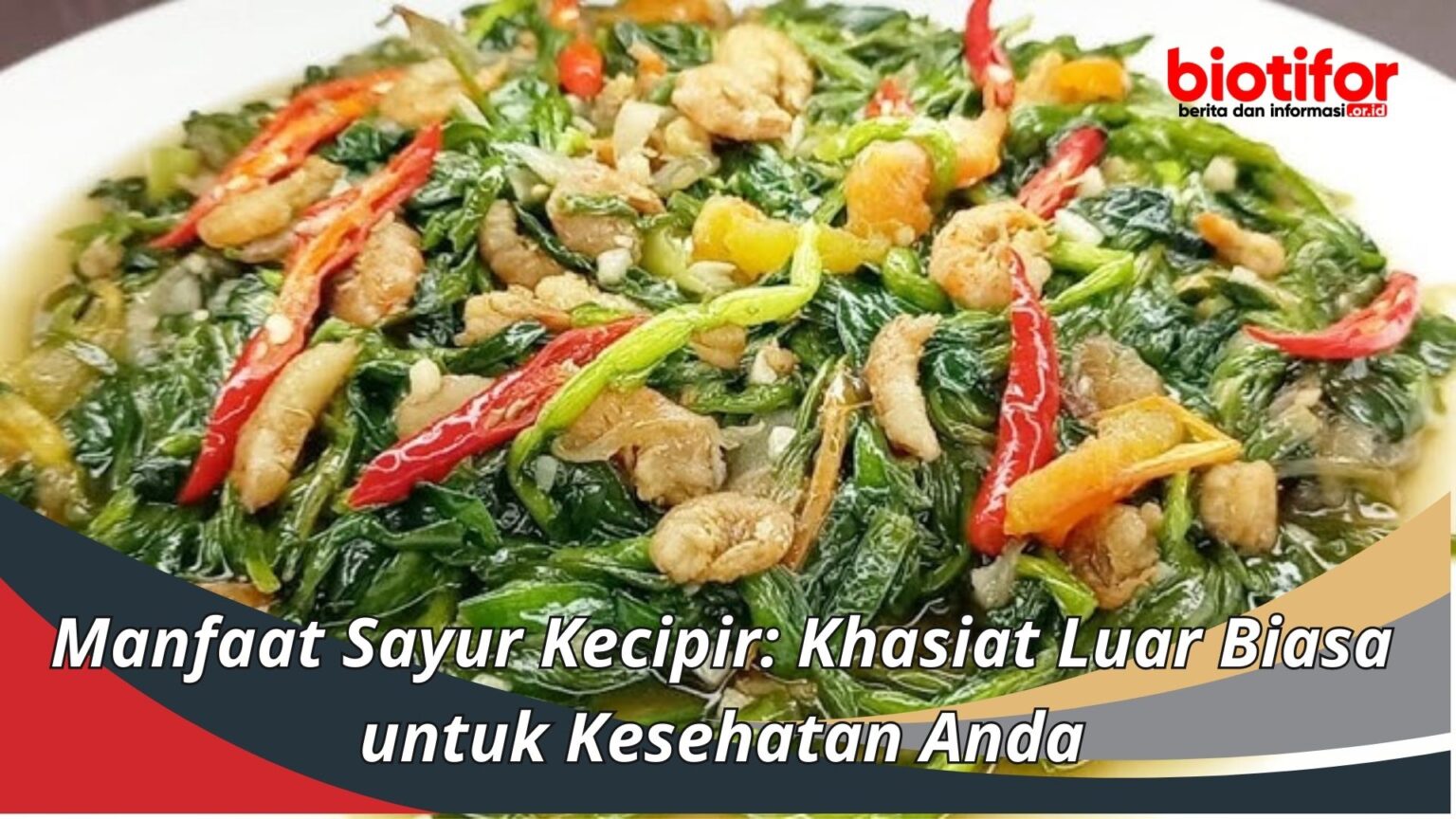 Manfaat Sayur Kecipir Khasiat Luar Biasa Untuk Kesehatan Anda Biotifor