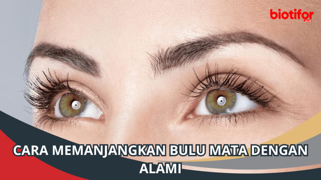 Cara Memanjangkan Bulu Mata Dengan Alami Hasilkan Cantik Natural