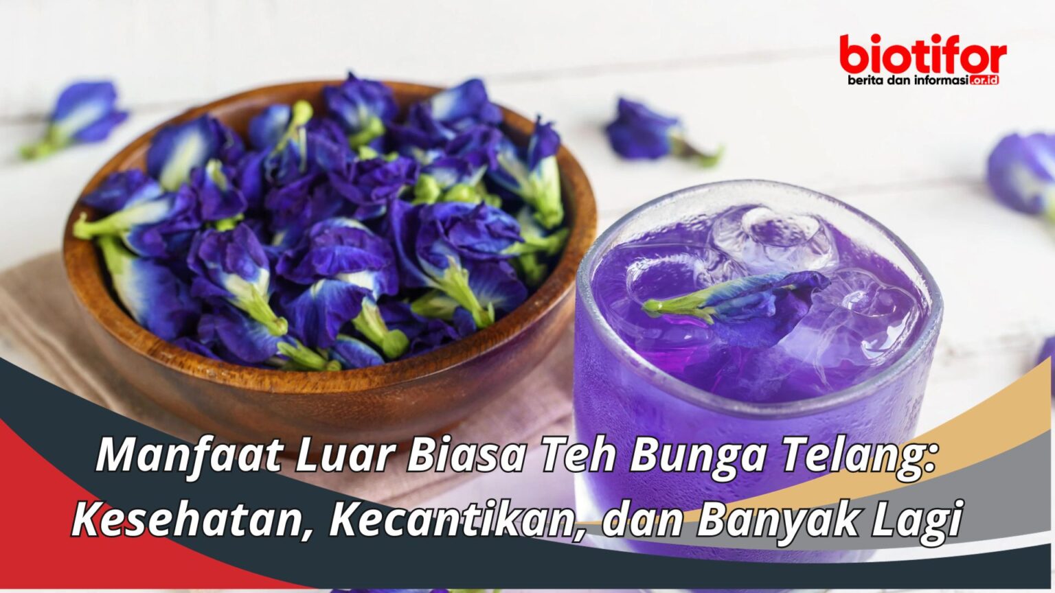 Manfaat Luar Biasa Teh Bunga Telang Kesehatan Kecantikan Dan Banyak Lagi