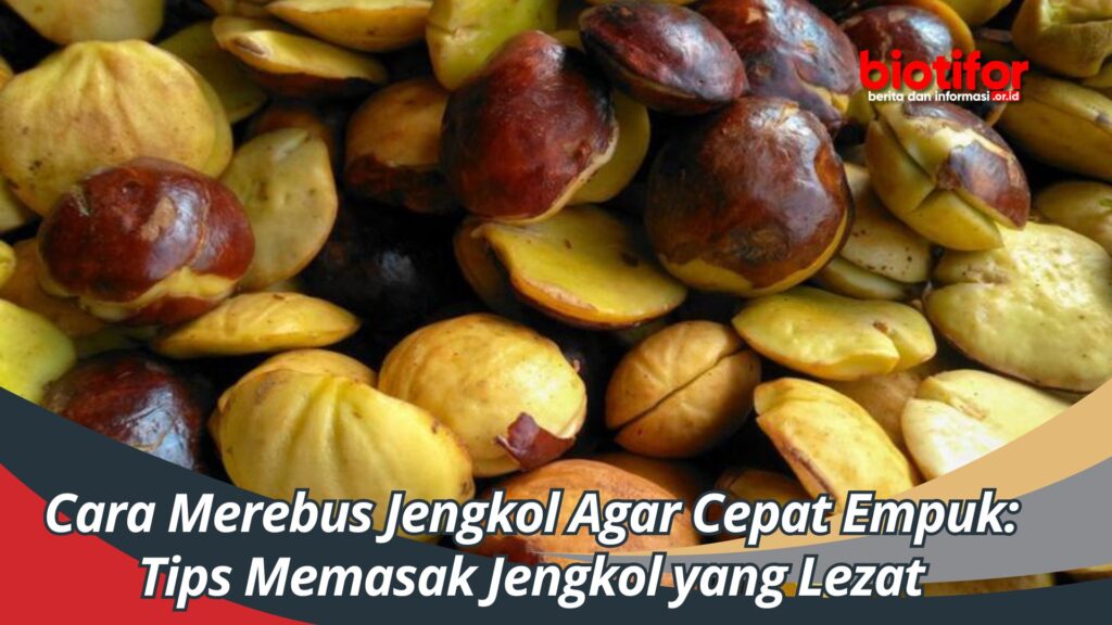 Cara Merebus Jengkol Agar Cepat Empuk Tips Memasak Jengkol Yang Lezat