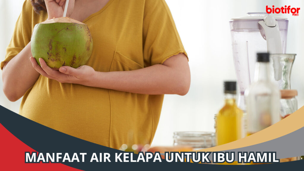 Manfaat Air Kelapa Untuk Ibu Hamil Bisa Mengatasi Mual Biotifor