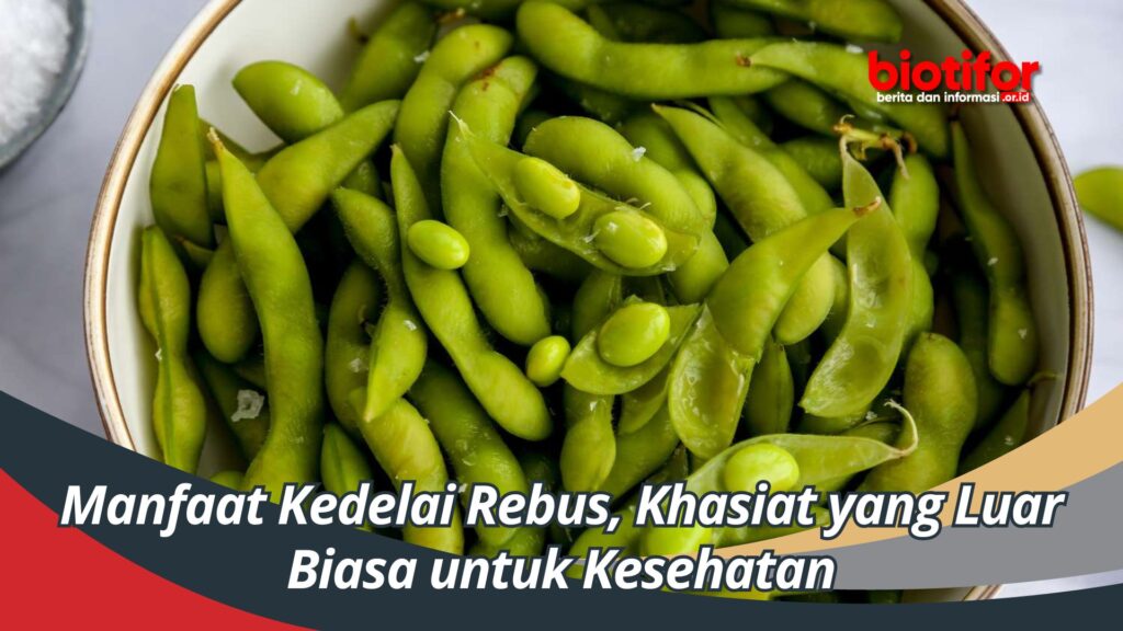 Manfaat Kedelai Rebus Khasiat Yang Luar Biasa Untuk Kesehatan Biotifor