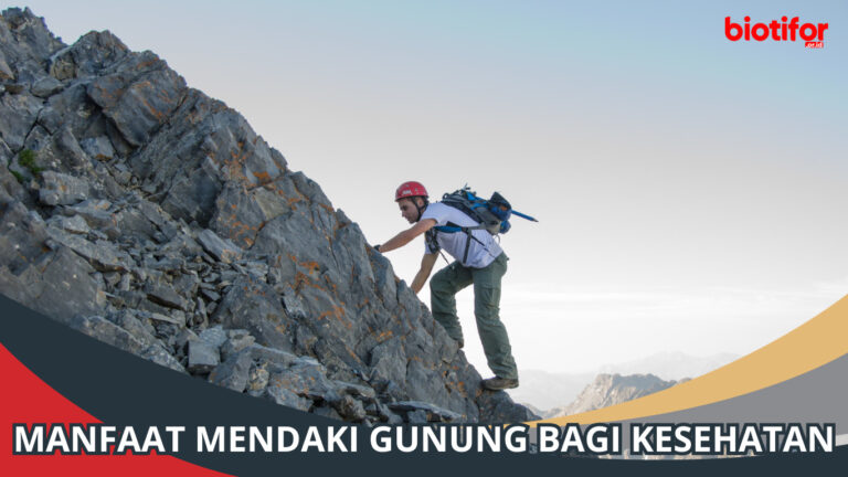 10 Manfaat Mendaki Gunung Bagi Kesehatan Biotifor