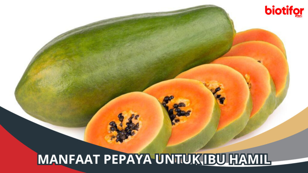 Manfaat Utama Pepaya Untuk Ibu Hamil Biotifor