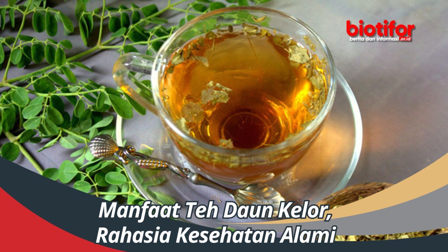 Manfaat Teh Daun Kelor Rahasia Kesehatan Alami Biotifor