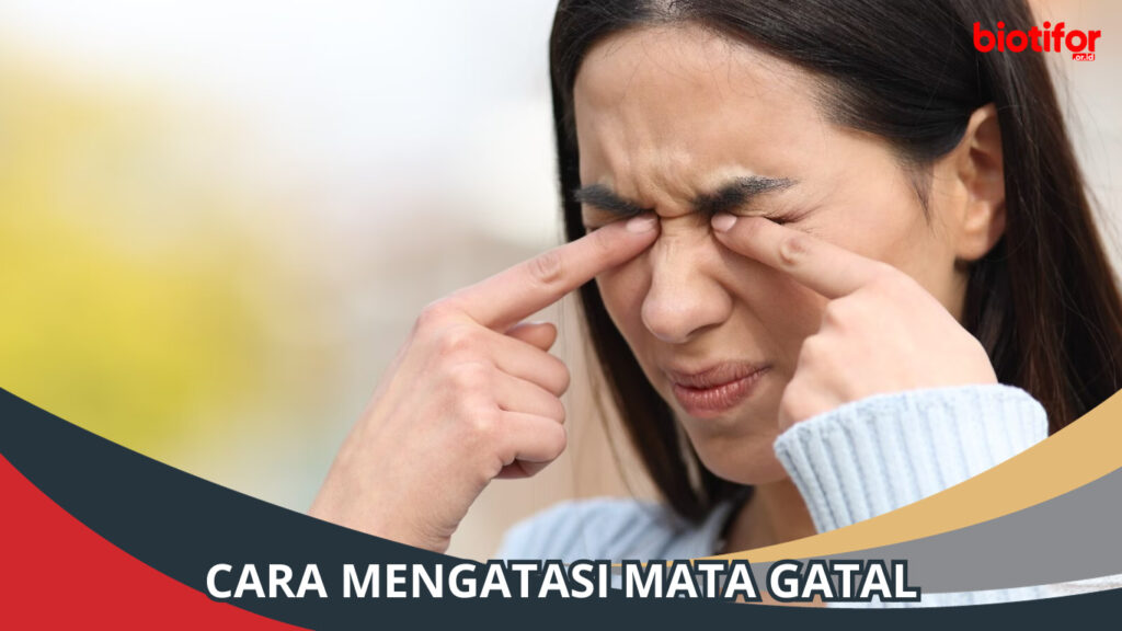 Cara Mengatasi Mata Gatal Solusi Kesehatan Mata Anda Biotifor