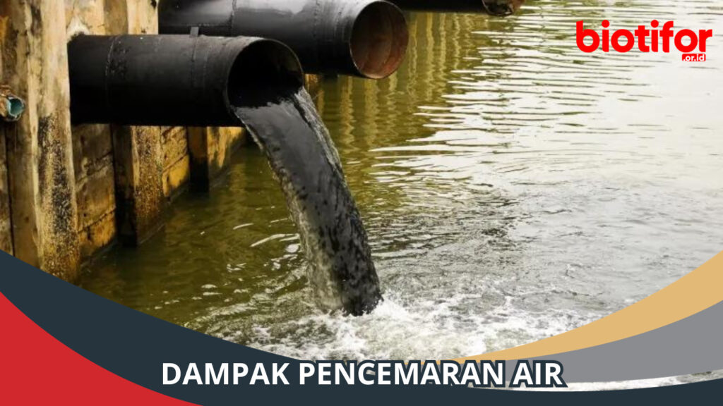 Dampak Pencemaran Air Merusak Lingkungan Dan Kesehatan Manusia Biotifor