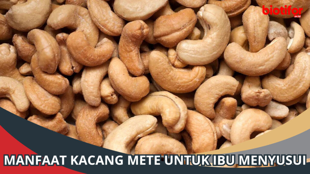 Manfaat Kacang Mete Untuk Ibu Menyusui Biotifor