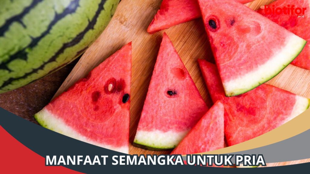 Manfaat Semangka Untuk Pria Segarkan Kesehatan Anda Biotifor