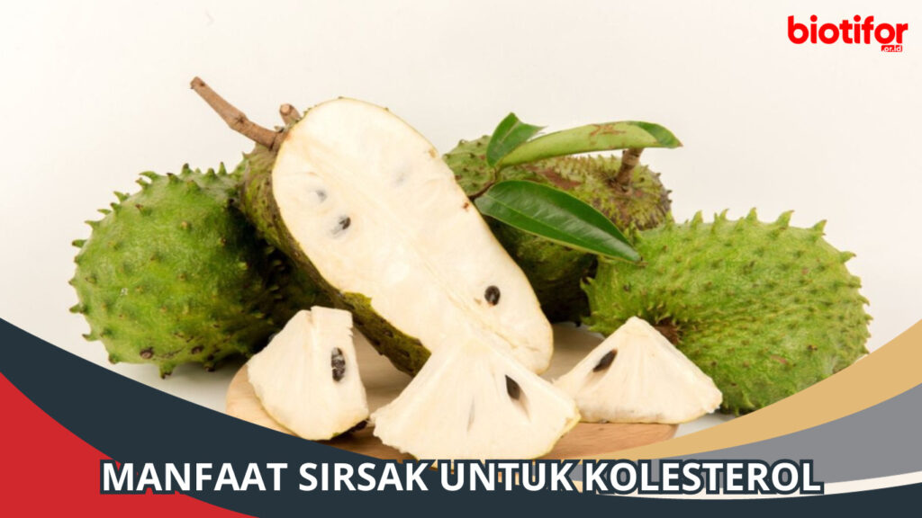 Manfaat Buah Sirsak Untuk Menurunkan Kolesterol Biotifor