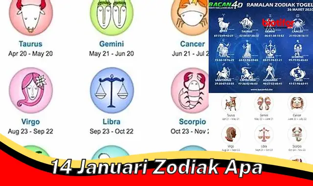 Menyingkap Zodiak Lahir 14 Januari: Sifat dan Potensi Tersembunyi