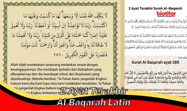 Rahasia Dua Ayat Terakhir Al-Baqarah: Panduan Hidup untuk Kebahagiaan dan Perlindungan