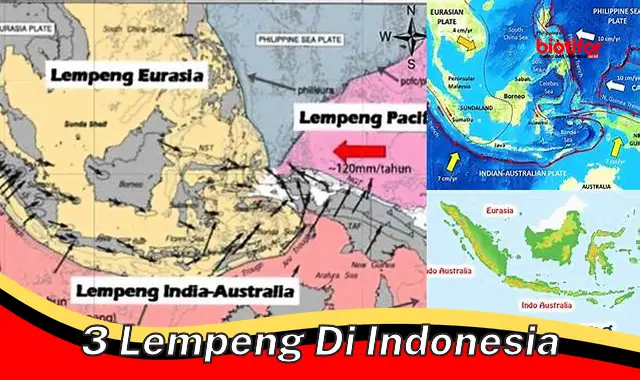 3 lempeng di indonesia