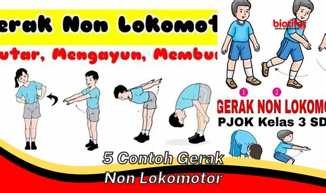 5 Contoh Penting Gerak Non Lokomotor untuk Kesehatan dan Kebugaran