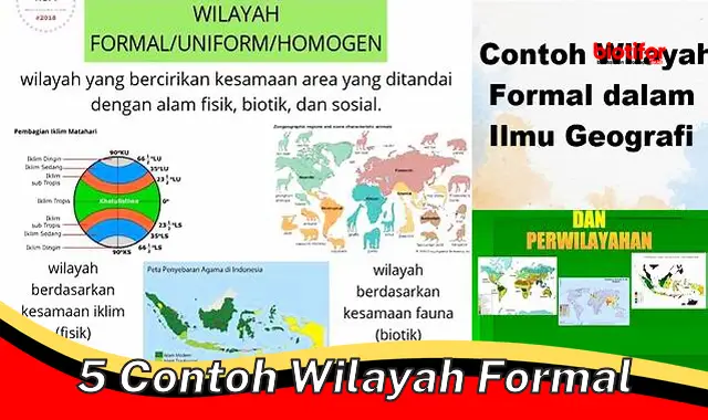 5 contoh wilayah formal