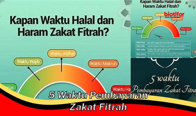 Panduan Waktu Pembayaran Zakat Fitrah Tepat Waktu