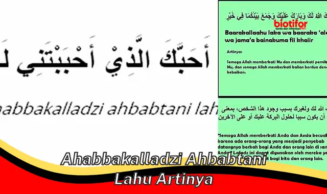 Makna Mendalam Dibalik "Ahabbakalladzi Ahbabtani Lahu Artinya"