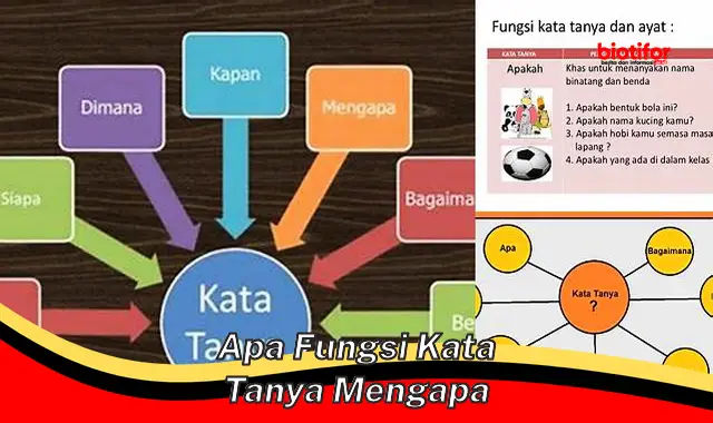 Pentingnya Kata Tanya "Mengapa" untuk Memahami Dunia