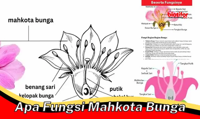 Fungsi Penting Mahkota Bunga: dari Penarik Penyerbuk hingga Inspirasi Seni