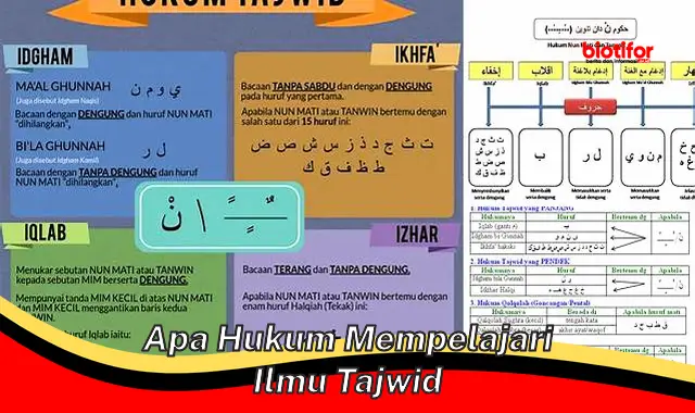 Pentingnya Ilmu Tajwid: Hukum dan Manfaat Mempelajarinya