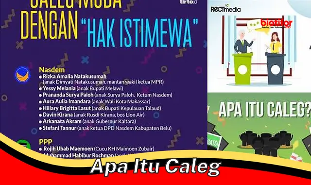 Apa Itu Caleg: Panduan Lengkap untuk Pemilih Cerdas