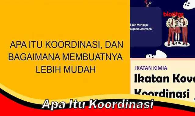 Apa Itu Koordinasi: Panduan Lengkap untuk Meningkatkan Kolaborasi dan Efisiensi