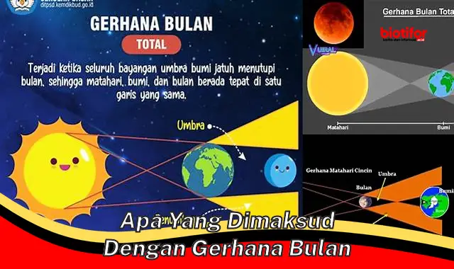 Panduan Lengkap: Memahami Apa yang Dimaksud dengan Gerhana Bulan