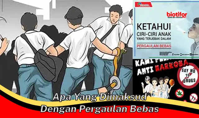 Dampak Buruk Pergaulan Bebas, Pahami Maknanya!