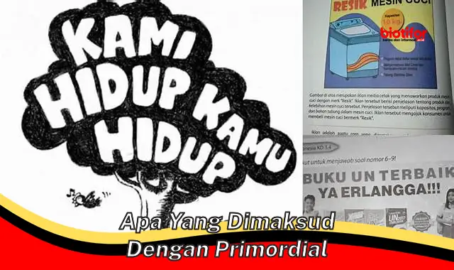 Selami Asal-usul Primordial: Pengertian dan Maknanya