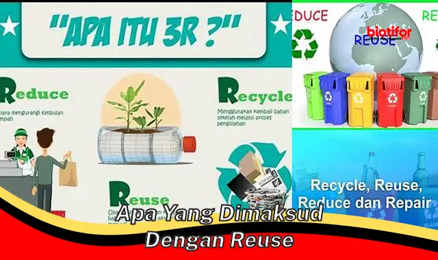 Pengertian Reuse: Cara Hemat dan Efisien dalam Berbisnis