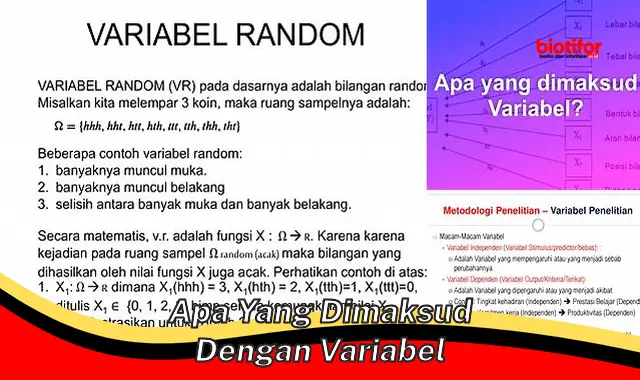 Pengertian Variabel: Panduan Lengkap dan Cara Penggunaan dalam Penelitian