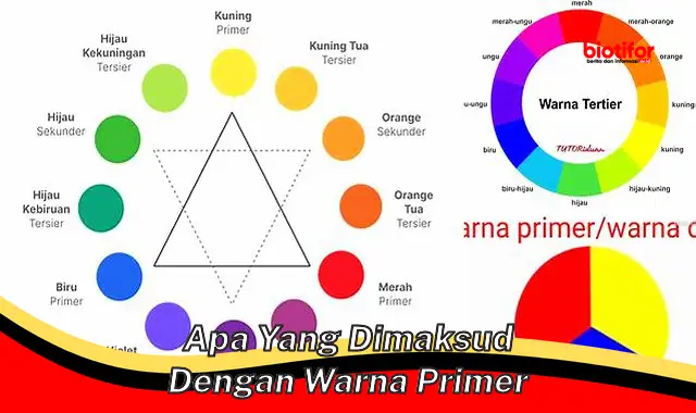 Arti Warna Primer Panduan Lengkap Untuk Memahami Warna Dasar Biotifor