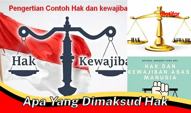 Pengertian Mendasar tentang Hak: Panduan Lengkap