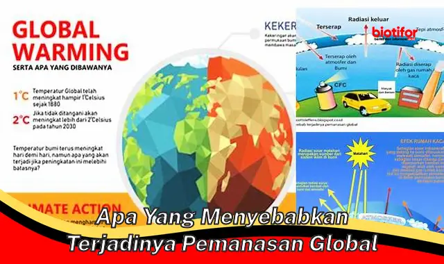 Penyebab Pemanasan Global: Faktor Penting yang Harus Diketahui