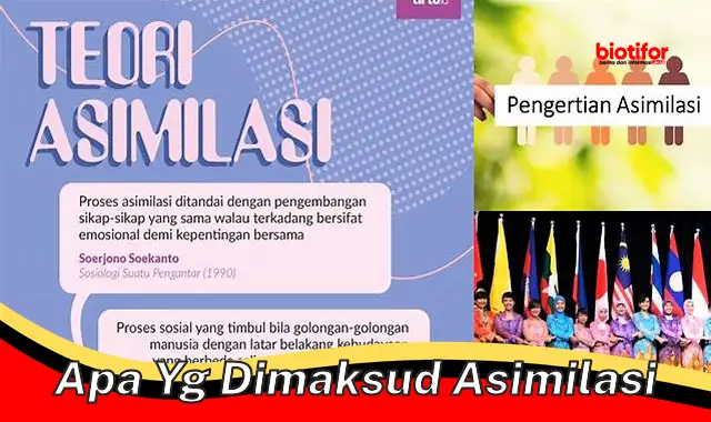 Yuk, Kenali Pengertian Asimilasi dan Dampaknya