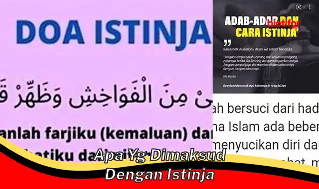 Pengertian Istinja: Panduan Lengkap Tata Cara dan Manfaatnya