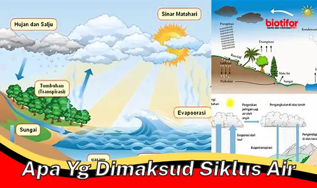 apa yg dimaksud siklus air
