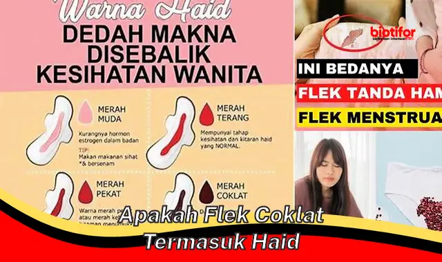 Apakah Flek Coklat Termasuk Haid? Panduan Lengkap untuk Membedakannya