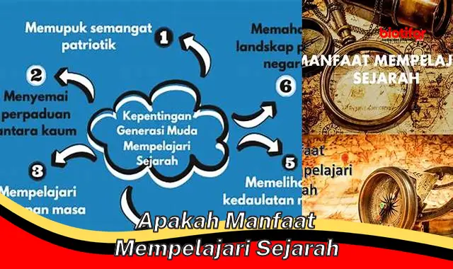 Menyelami Manfaat Mempelajari Sejarah: Panduan Penting