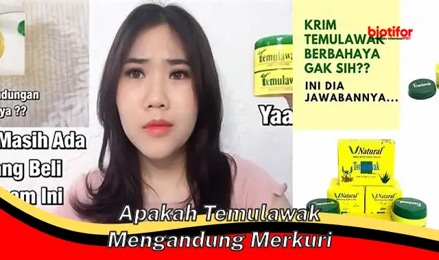 Apakah Temulawak Mengandung Merkuri? Kenali Fakta dan Manfaatnya