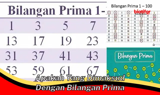 Pengertian Bilangan Prima: Panduan Lengkap dan Menarik