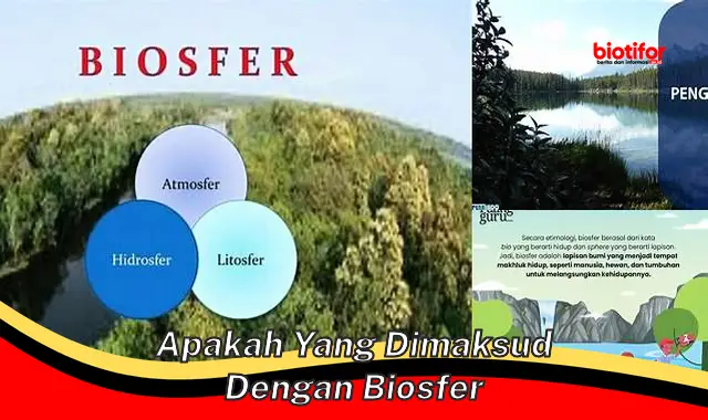 Pengertian Biosfer: Lapisan Kehidupan di Bumi