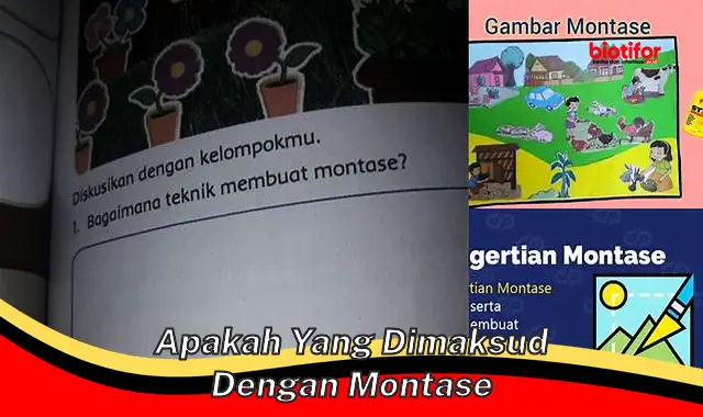 Pahami Montase: Teknik Penggabungan Gambar yang Mengagumkan