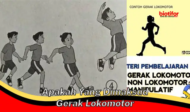 Mengenal Gerak Lokomotor: Pengertian, Jenis, dan Manfaatnya - Biotifor