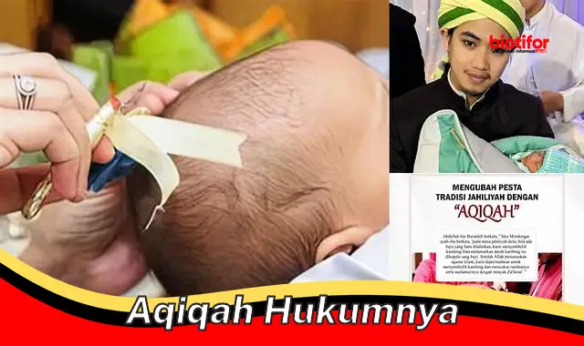 Pengertian Aqiqah: Menyelami Hukum dan Manfaat Ibadah Sunnah