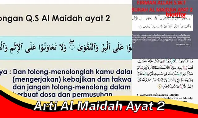 Arti Al Maidah Ayat 2: Larangan Membunuh dan Kesucian Jiwa Manusia